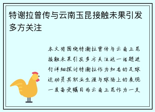 特谢拉曾传与云南玉昆接触未果引发多方关注